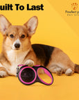 Premium Retractable Dog Leash