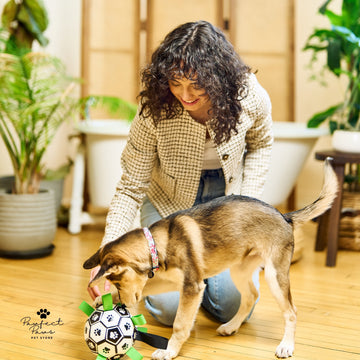 Dog Soccer Ball